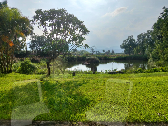 From Rural Roots to Rural Revival: How Tourism Is Transforming Qingyuan’s Countryside